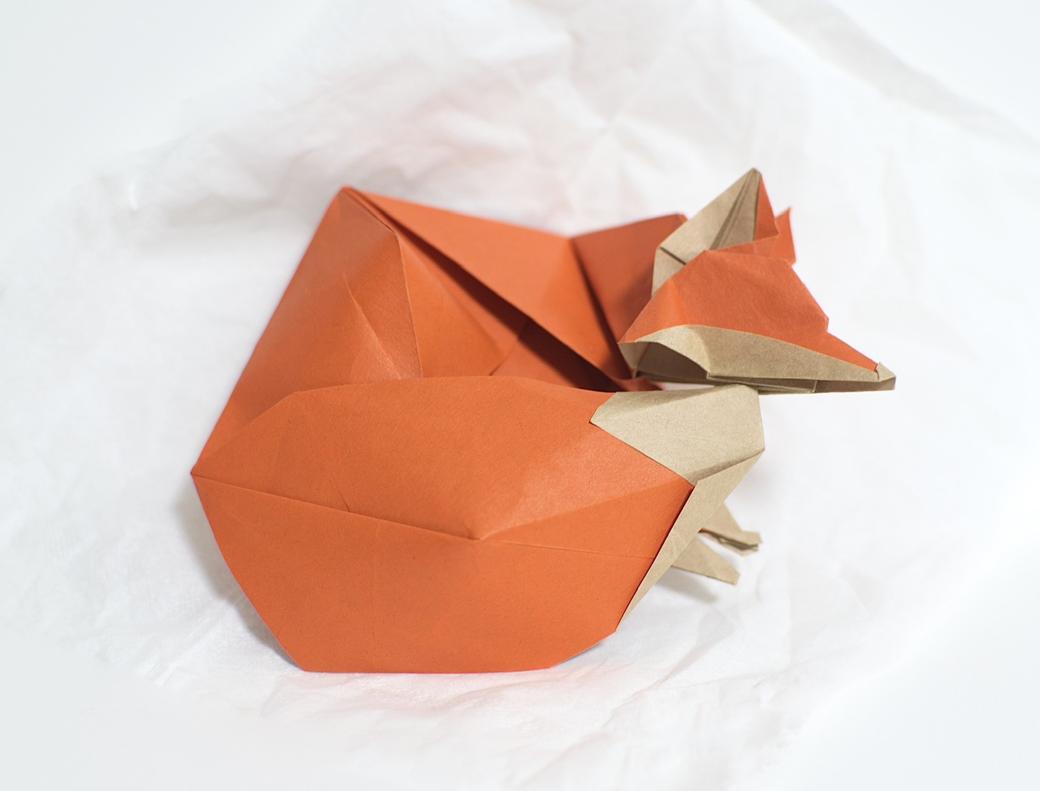 2026年12月21日例会のお知らせ | 折紙探偵団関西友の会 Origami